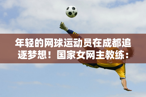 忆的桥梁